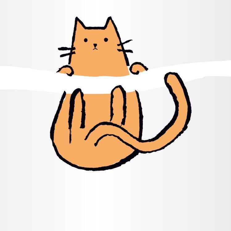 Cc